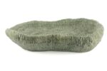 Yeşil Coral Dekor Kase 35x17x8cm