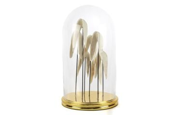 Mikasa Moor Angel Gold dekoratif cam fanus 22x37 cm, Bursa