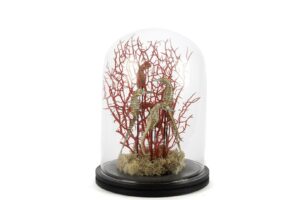 Mikasa Moor Coral Oranj Gold Dekoratif Cam Fanus 22×30 Cm