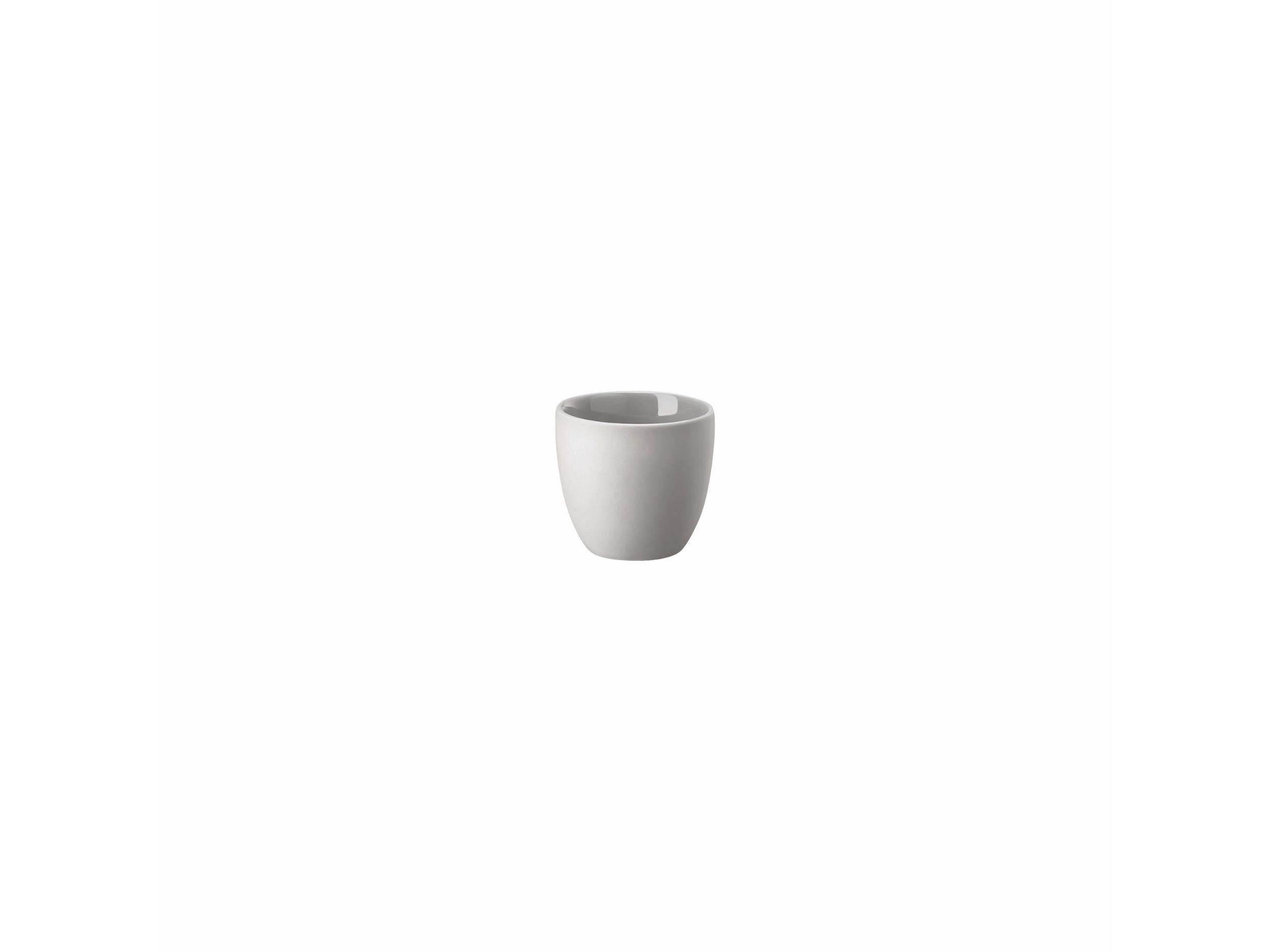 Rosenthal Espresso Fincan Çift Duvar Gri The Cup
