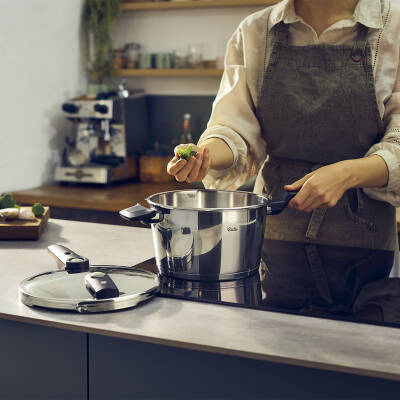 Fissler Vitaquick Elemental düdüklü tencere 4,5 L