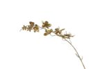 Mikasa Moor Lilyum Krem Gold Yapay Çıçek 85 Cm P358 107830