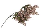 Mikasa Moor P358.123120 Pembe Tomurcuklu Yapay Çiçek 109cm