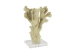 Mikasa Moor Şeffaf Kaideli Naturel Mercan 12x10x23 Cm P246 100336