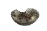 Mikasa Moor P383.128866 Antik Gold Mor Beyaz Desenli Dek Kase 34x30x18cm